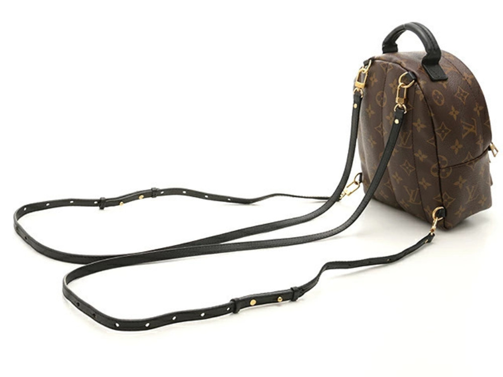 Louis Vuitton Palm Backpack Springs Monogram Brown